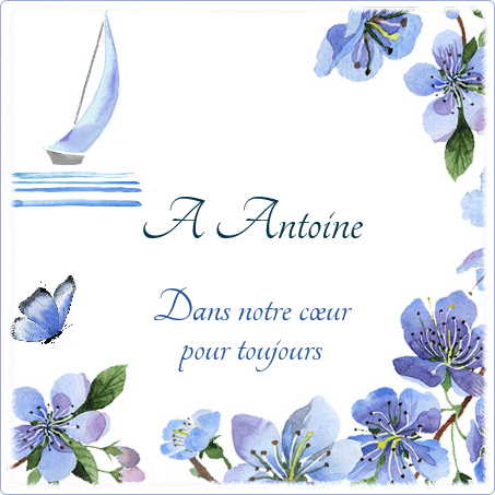 Plaque funéraire Photo dessin papillon,fleurs,bleu,bateau