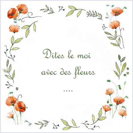 Plaque funéraire Photo dessin coquelicots,fleurs,amour